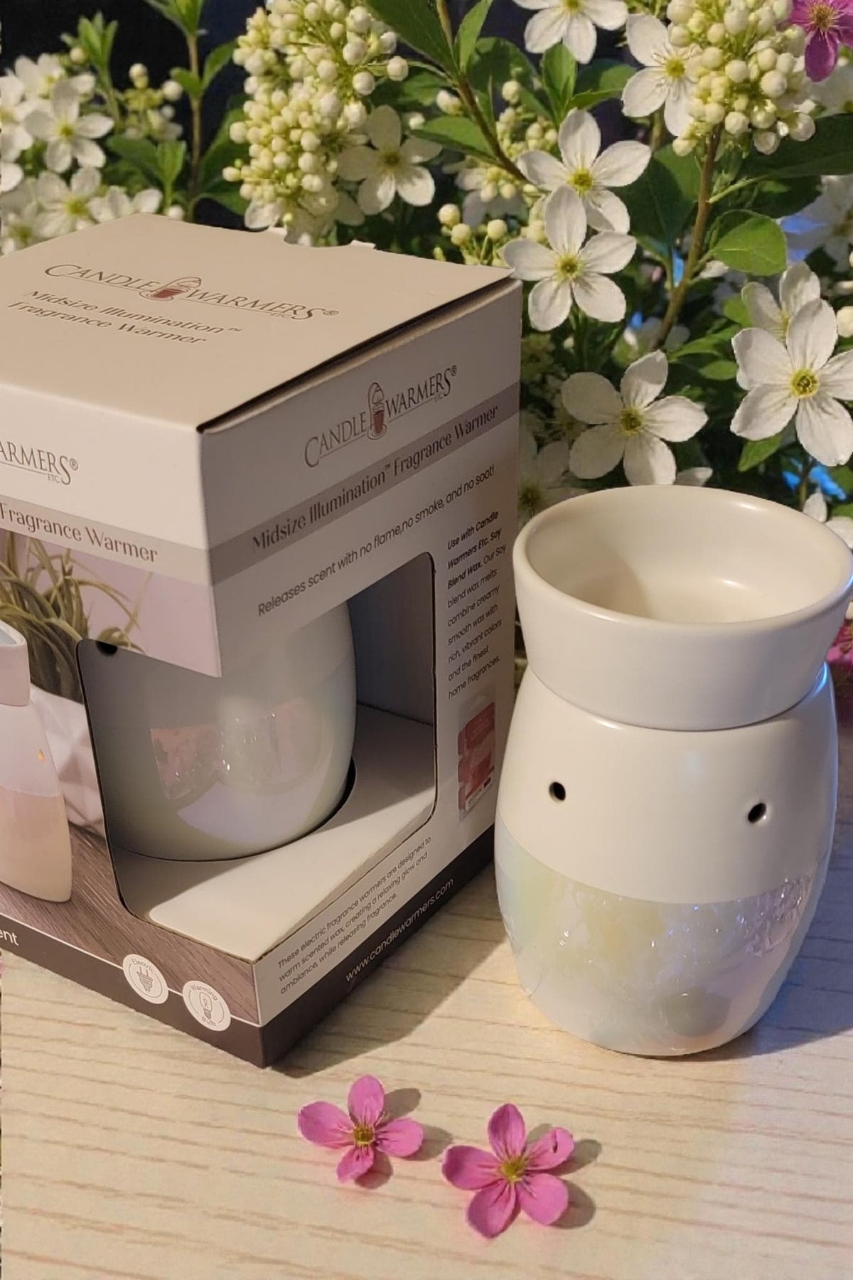 Electric Wax Warmer – Candle Warmer for Scented Soy Wax Melts | Home Décor