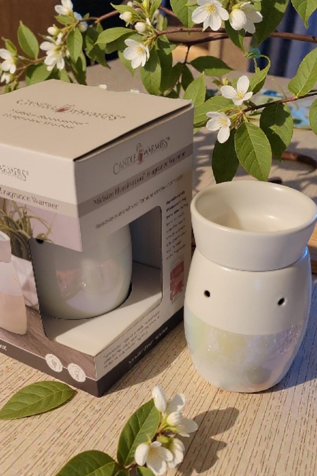 Electric Wax Warmer – Candle Warmer for Scented Soy Wax Melts | Home Décor