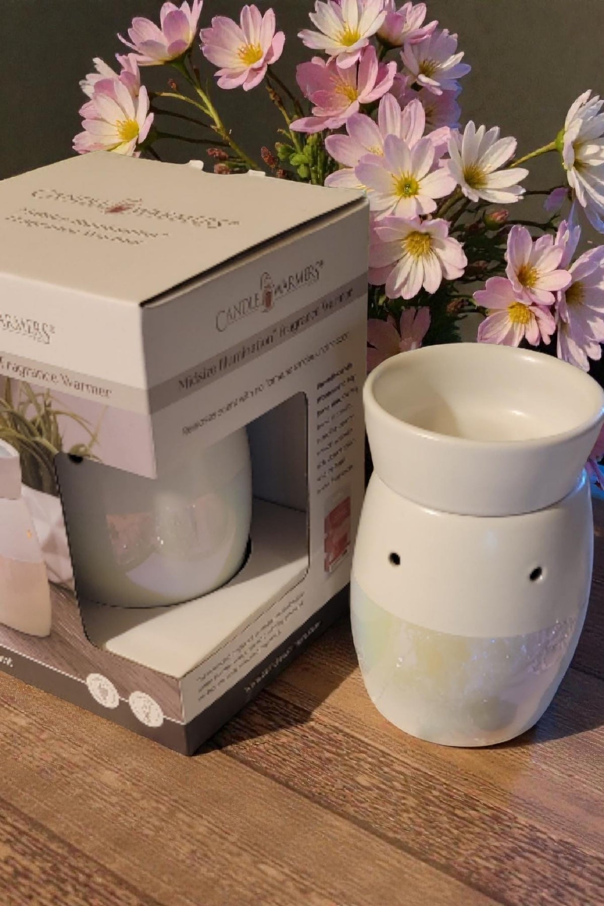Electric Wax Warmer – Candle Warmer for Scented Soy Wax Melts | Home Décor