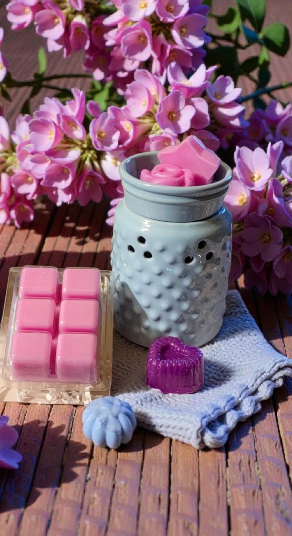 Electric Wax Warmer – Candle Warmer for Scented Soy Wax Melts | Home Décor