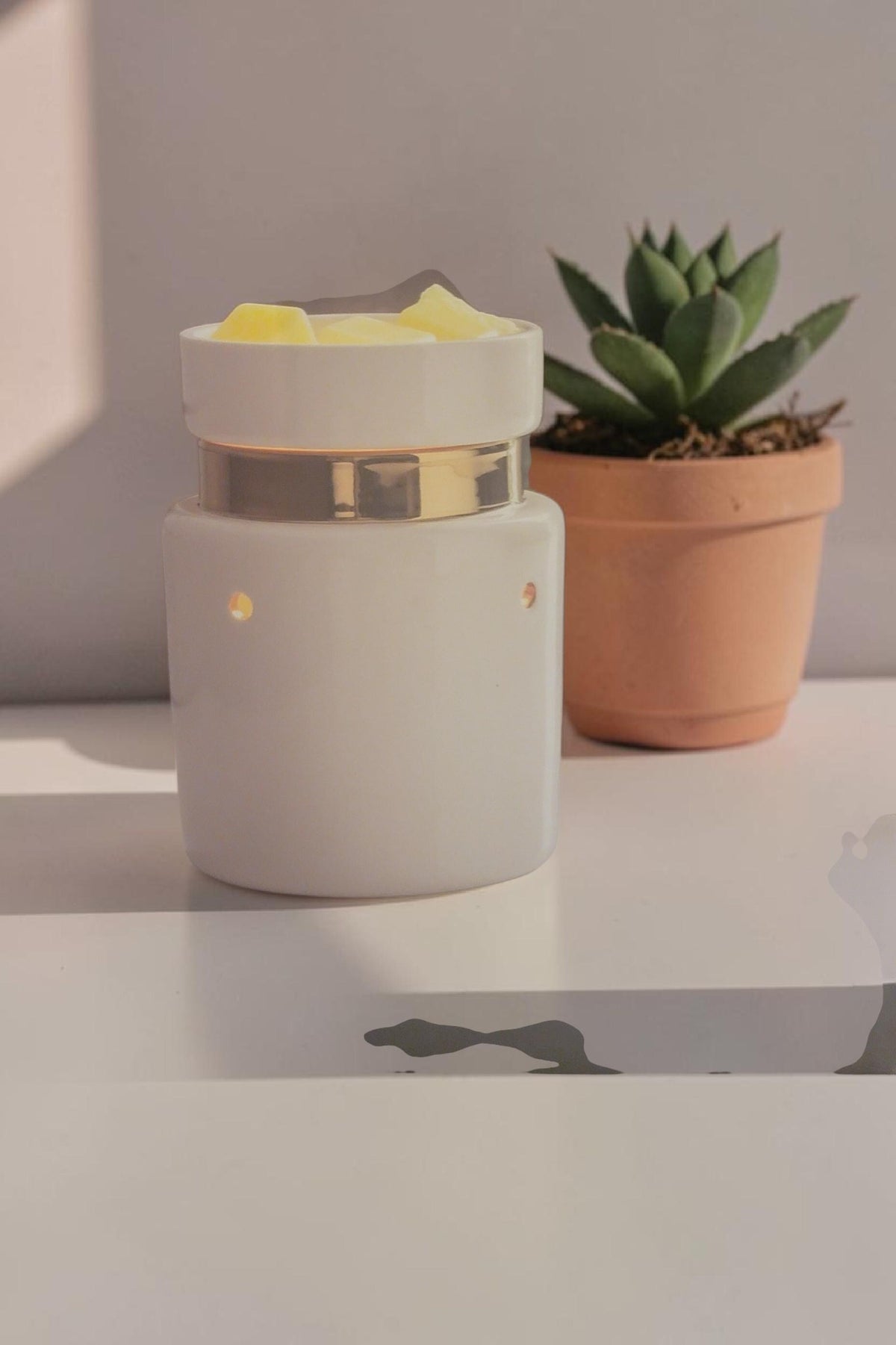 Electric Wax Warmer – Candle Warmer for Scented Soy Wax Melts | Home Décor