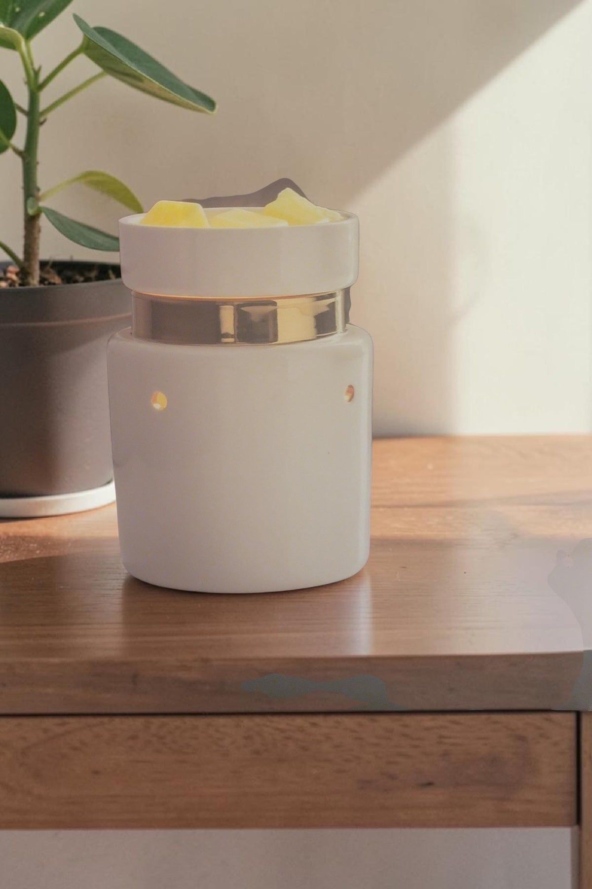 Electric Wax Warmer – Candle Warmer for Scented Soy Wax Melts | Home Décor