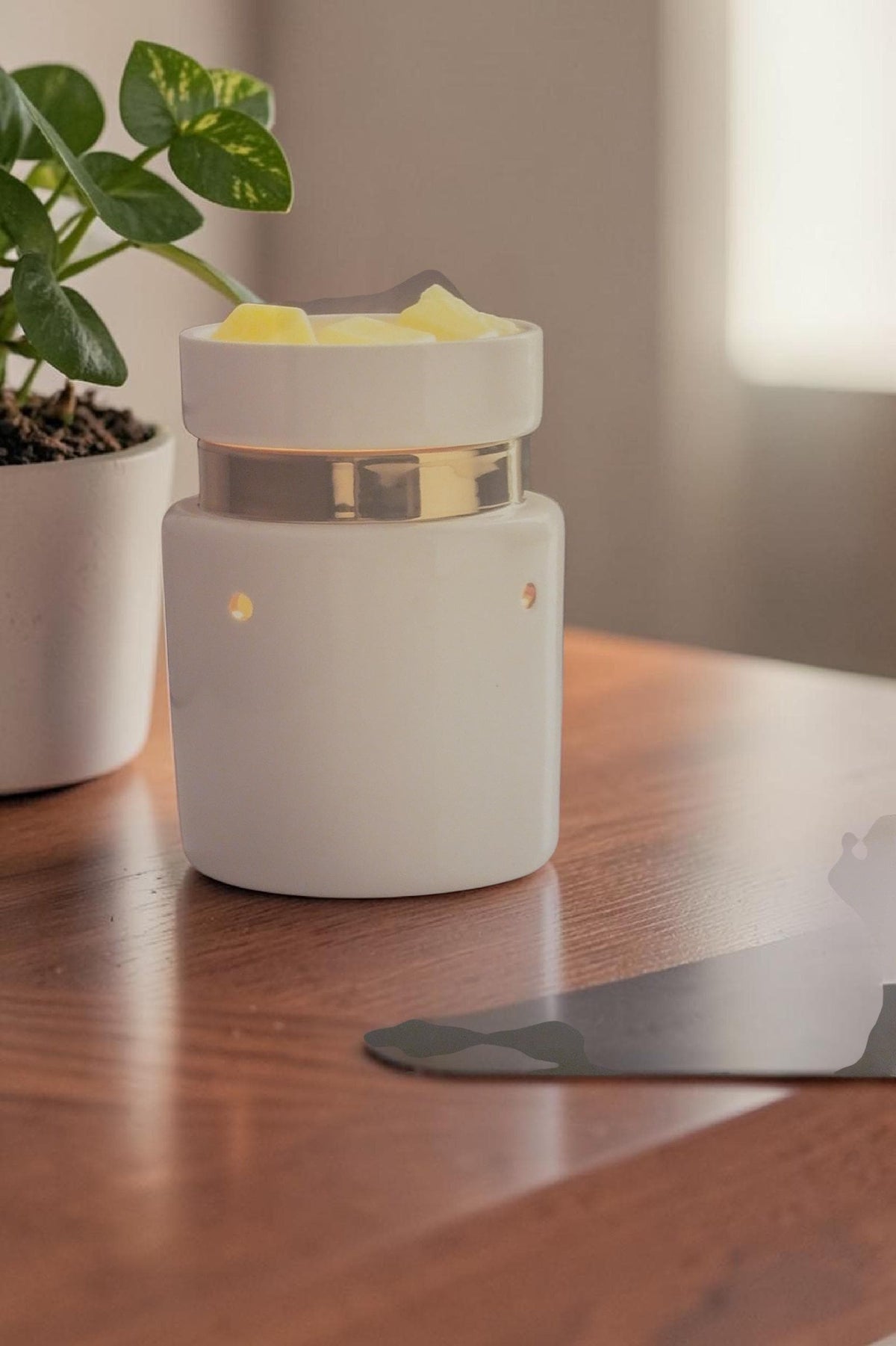 Electric Wax Warmer – Candle Warmer for Scented Soy Wax Melts | Home Décor